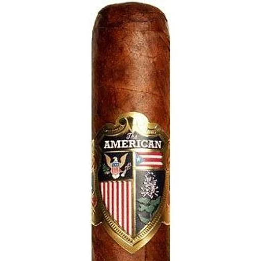 The American by J.C. Newman band