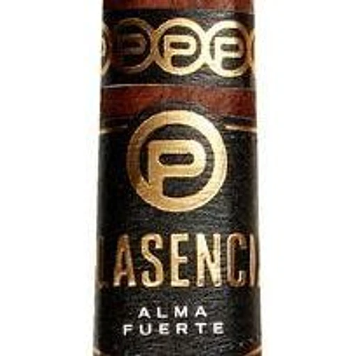 Plasencia Alma Fuerte band
