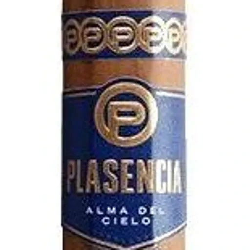Plasencia Alma del Cielo band