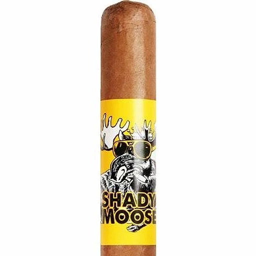Chillin' Moose Shady Moose band
