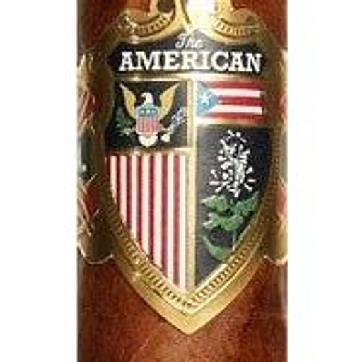 The American by J.C. Newman band