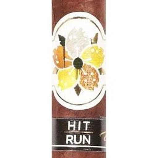 Room101 Johnny Tobacconaut band