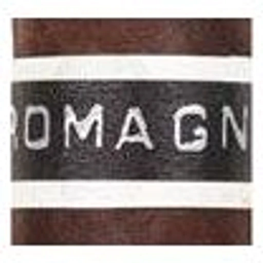 RoMa Craft CroMagnon band