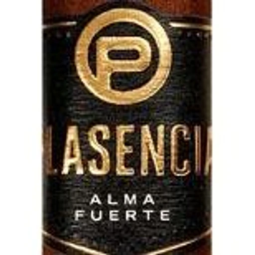 Plasencia Alma Fuerte band