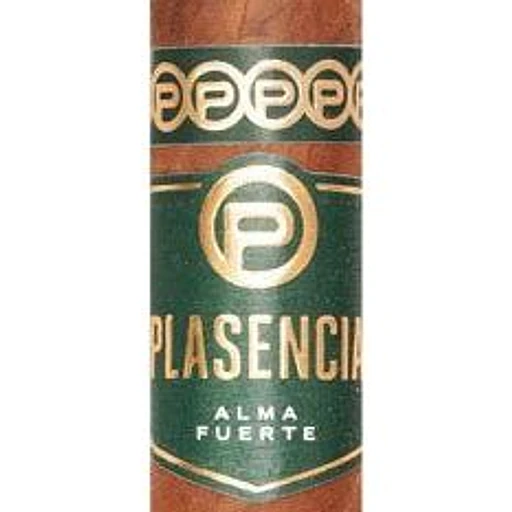 Plasencia Alma Fuerte band