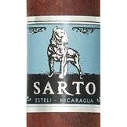 Warped Sarto band
