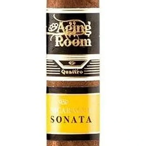 Aging Room Quattro Nicaragua band