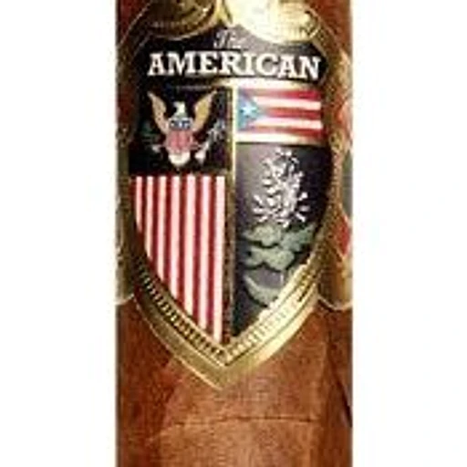 The American by J.C. Newman band