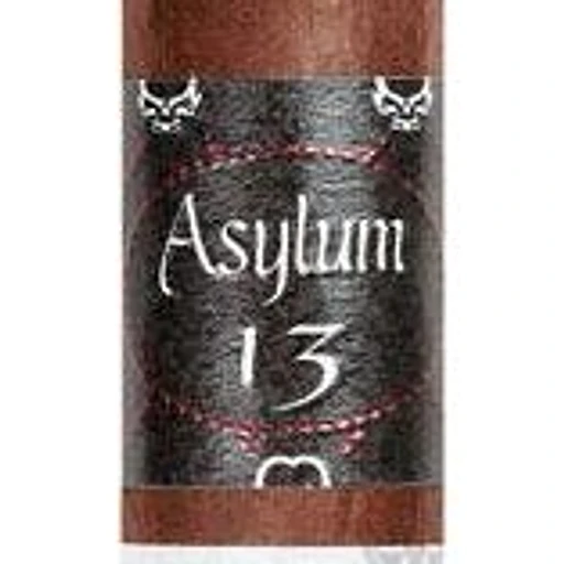 Asylum 13 band