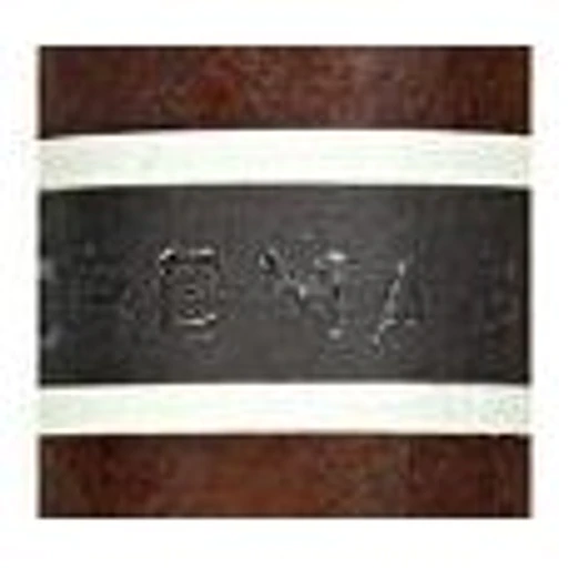 RoMa Craft CroMagnon band