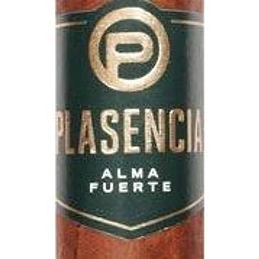 Plasencia Alma Fuerte band