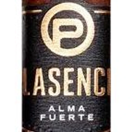 Plasencia Alma Fuerte band