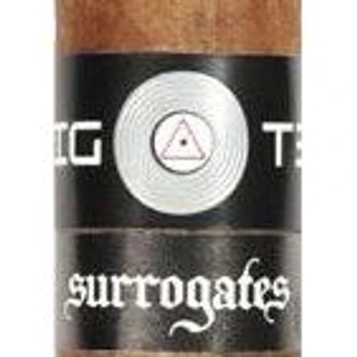 Surrogates Big Ten band