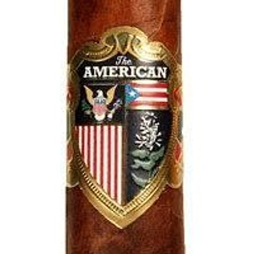 The American by J.C. Newman band