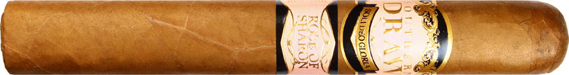 Southern Draw Rose of Sharon Gordo cigar