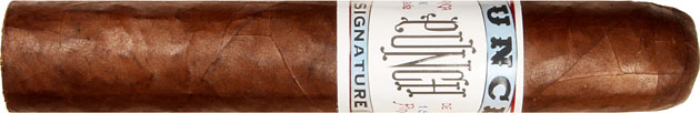 Punch Signature Robusto cigar