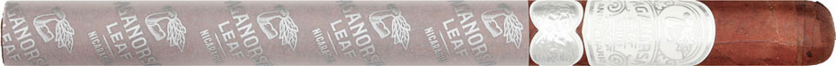 Aganorsa Leaf Aniversario Corojo Lancero cigar