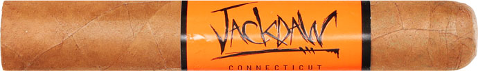Blackbird Jackdaw Robusto cigar