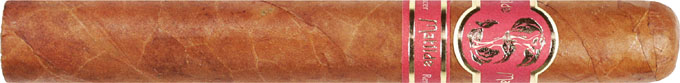 Matilde Renacer Corona cigar