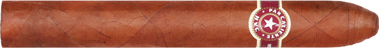 HVC Pan Caliente Toro cigar
