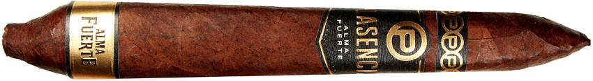 Plasencia Alma Fuerte Generacion V (Salomon) cigar
