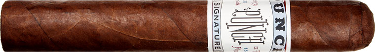 Punch Signature Gigante cigar